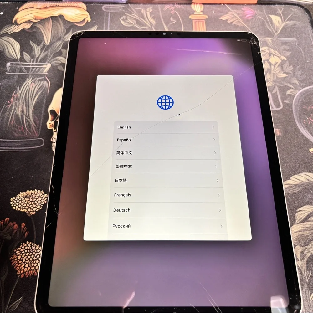 Apple iPad Tablet - Black and Silver